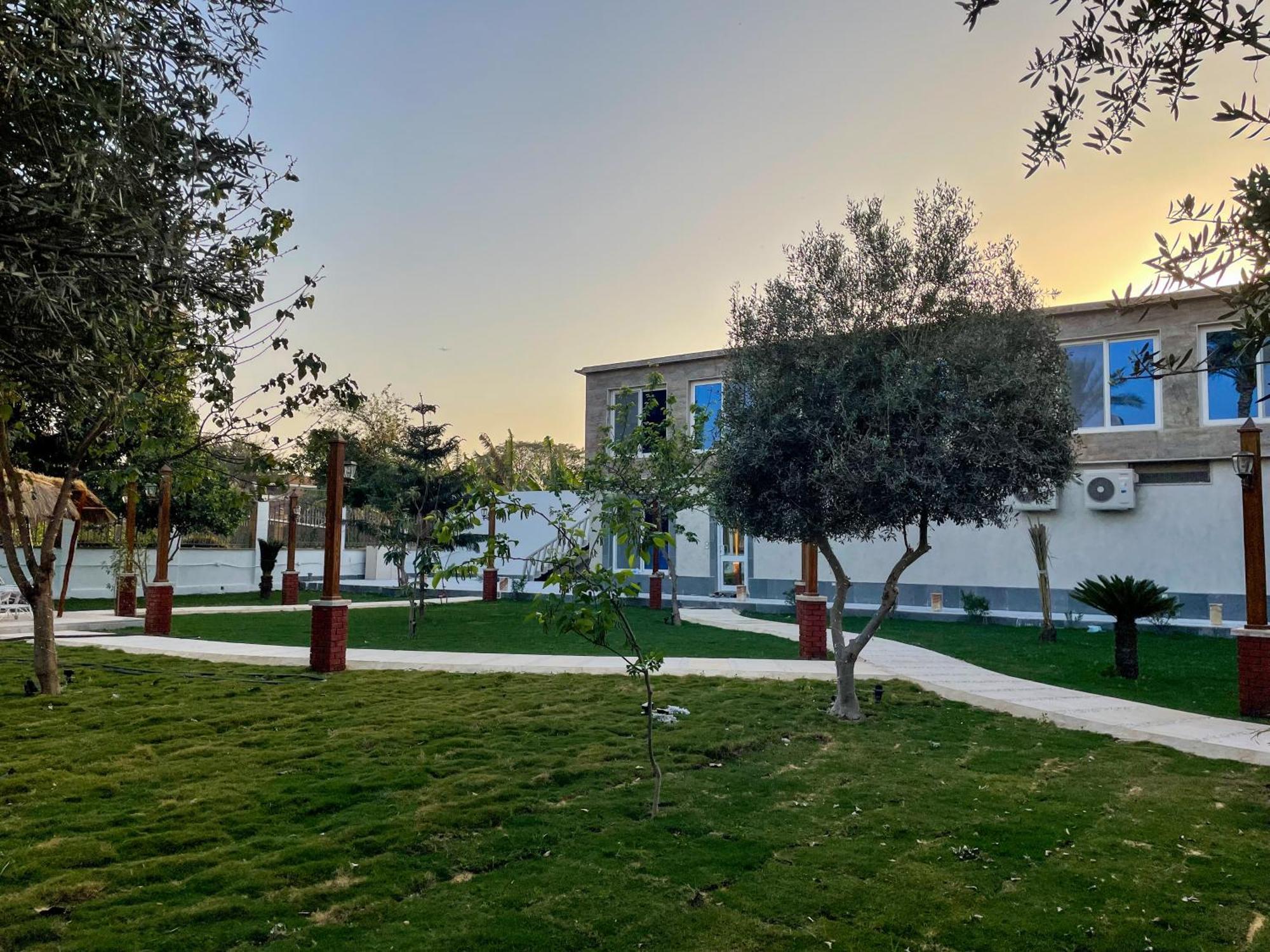 Gold Island Resort Giza Zewnętrze zdjęcie